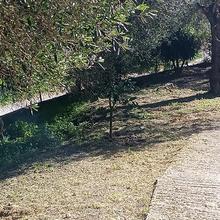 ホームステイ εξοχικό στο βιρο κέρκυρας Kastanéa