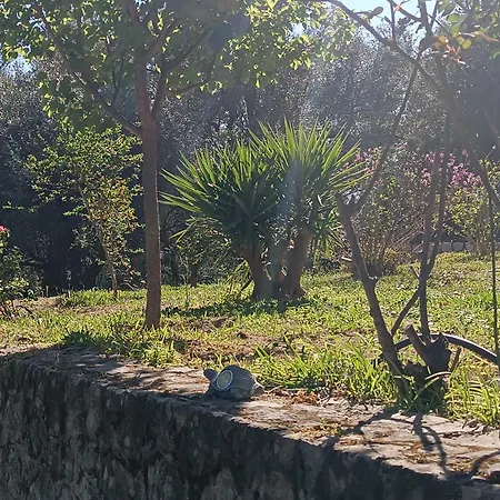 ホームステイ εξοχικό στο βιρο κέρκυρας Kastanéa