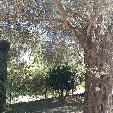 Ubytování v soukromí εξοχικό στο βιρο κέρκυρας *