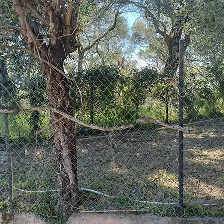 εξοχικό στο βιρο κέρκυρας ホームステイ