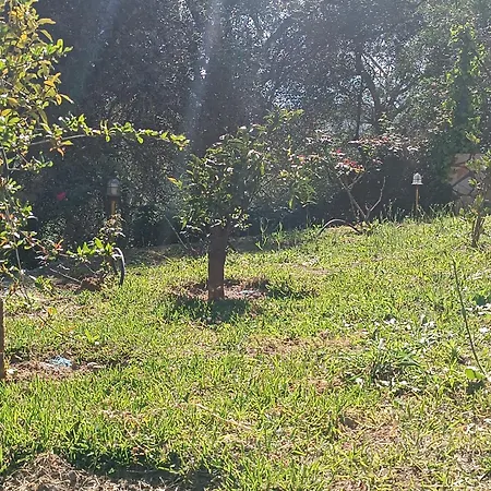 Ubytování v soukromí εξοχικό στο βιρο κέρκυρας