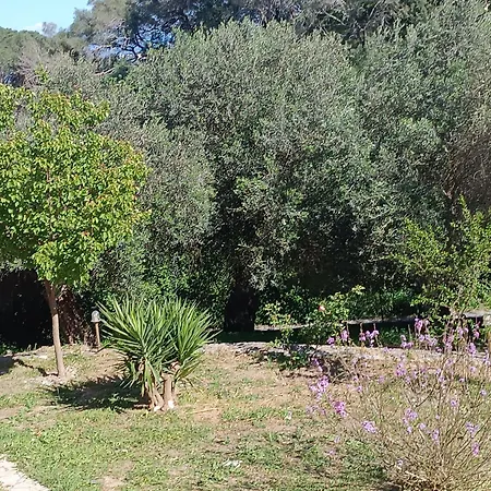ホームステイ εξοχικό στο βιρο κέρκυρας *