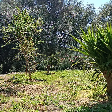 ホームステイ εξοχικό στο βιρο κέρκυρας Kastanéa