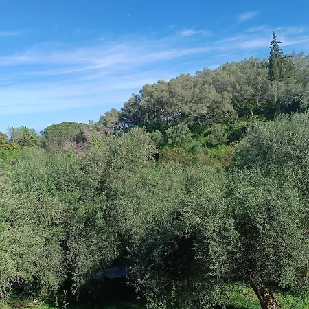 ホームステイ εξοχικό στο βιρο κέρκυρας *