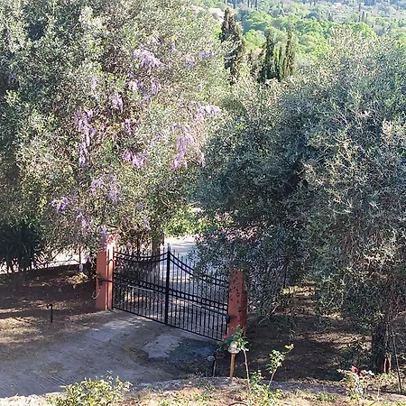εξοχικό στο βιρο κέρκυρας Ubytování v soukromí *
